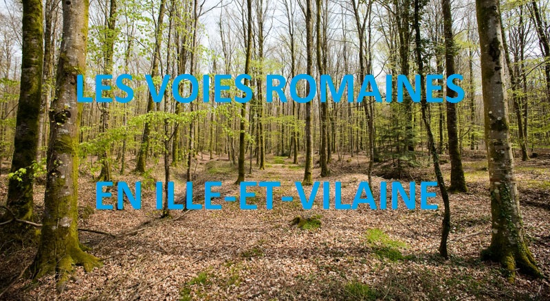 Voie romaine foret de fougeres 1